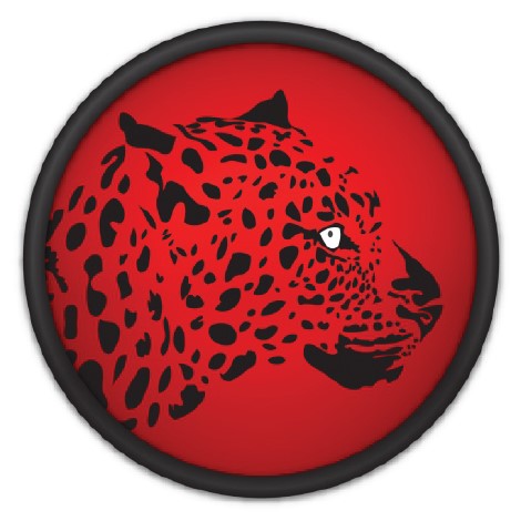 RedLeopardIT